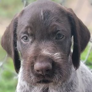 Meet your Posher, Dena